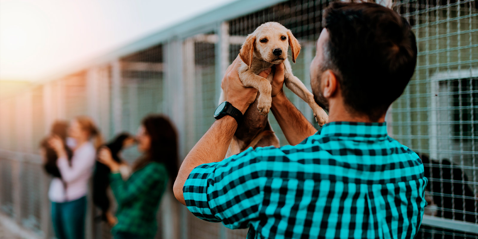 Personas acarician a perrito en refugio.