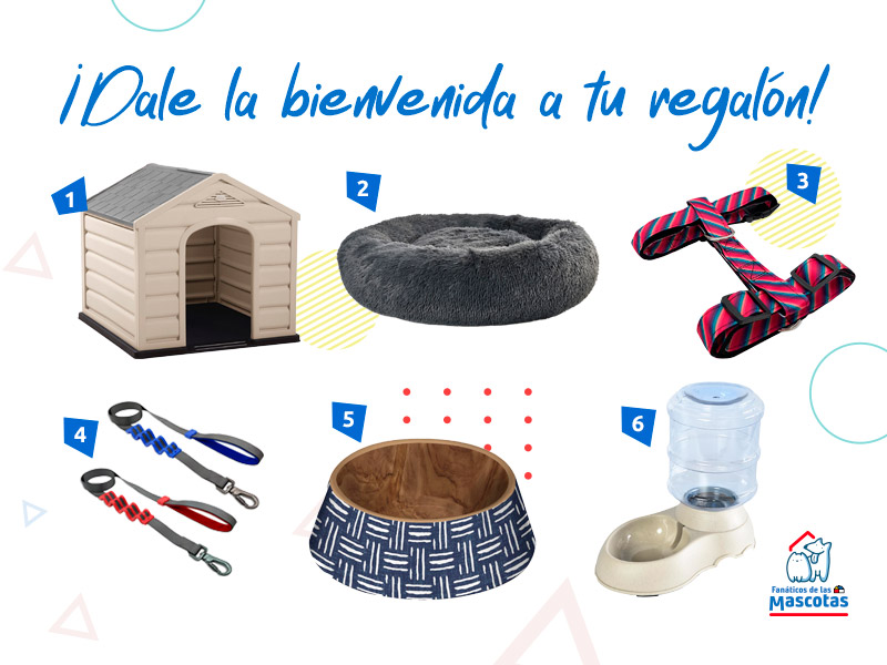 Productos para adopción de perritos