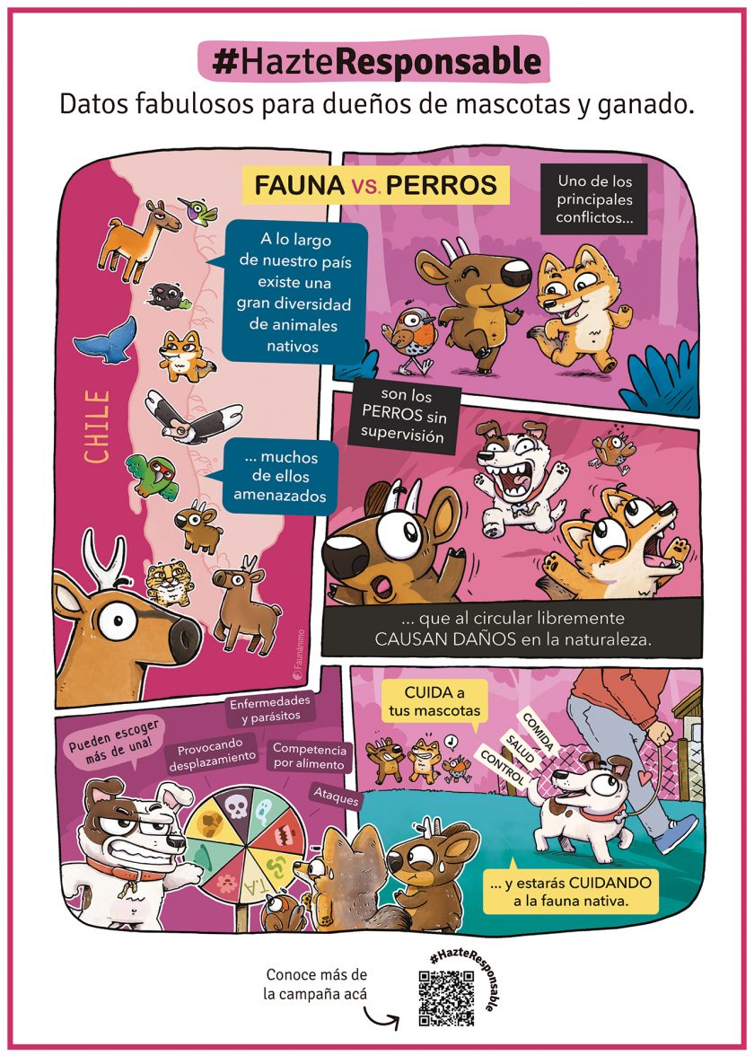 Viñeta informativa de la campaña hazte responsable, sobre el efecto de los perros asilvestrados en la fauna nativa