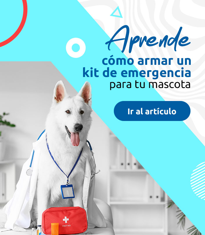 banner-KIT-emergencia-Mobile