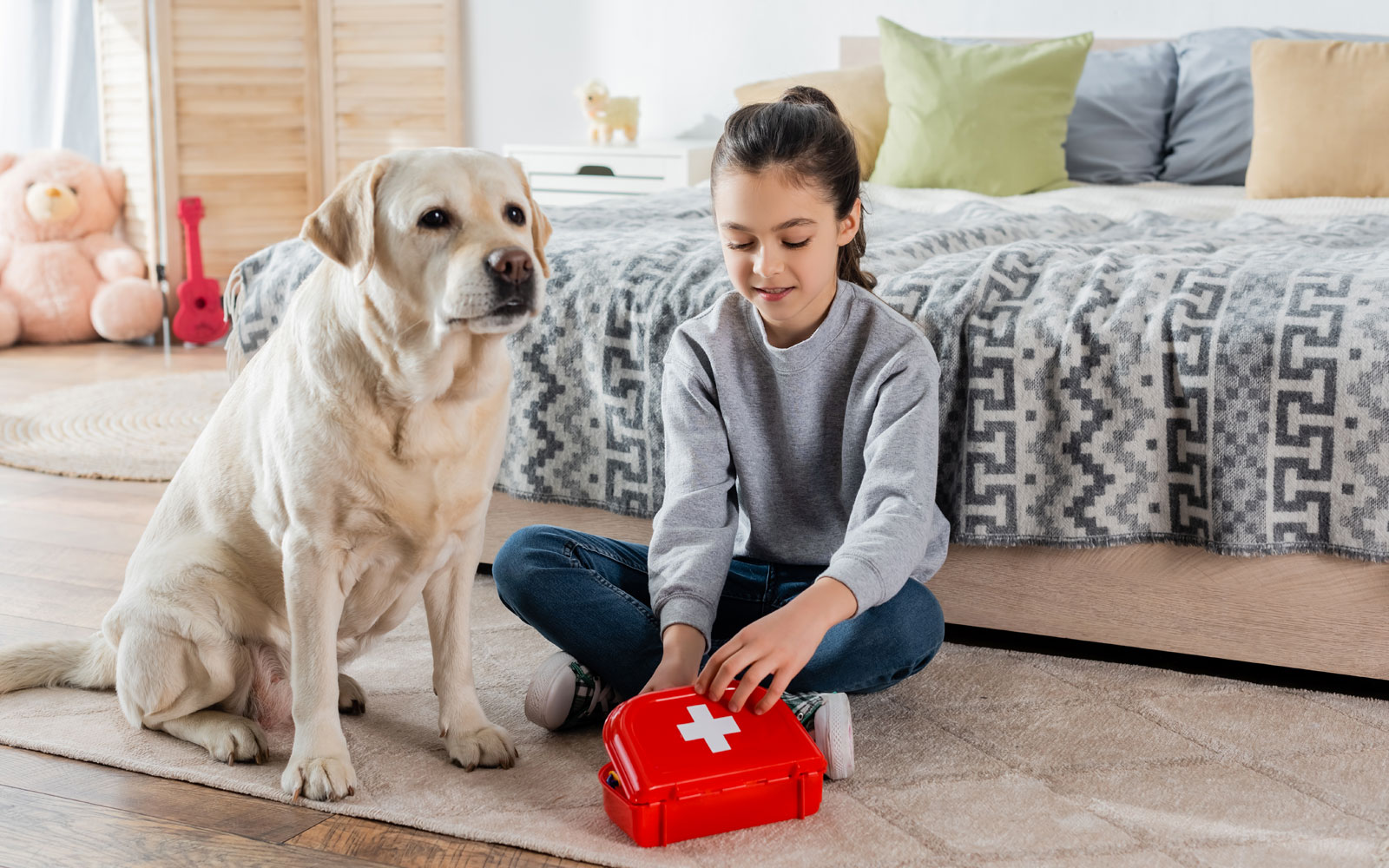 Conoce las claves para armar un Kit de emergencia para mascotas