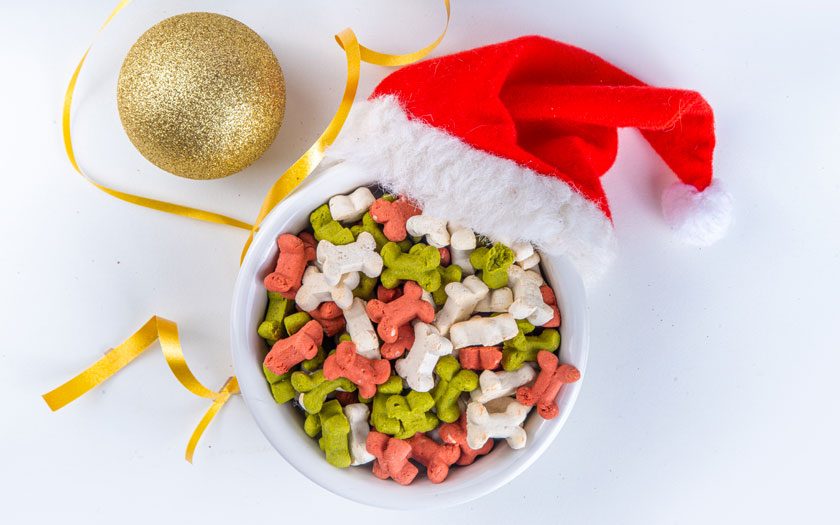 Un plato para perro o gato con snacks para perro y un gorro de Navidad