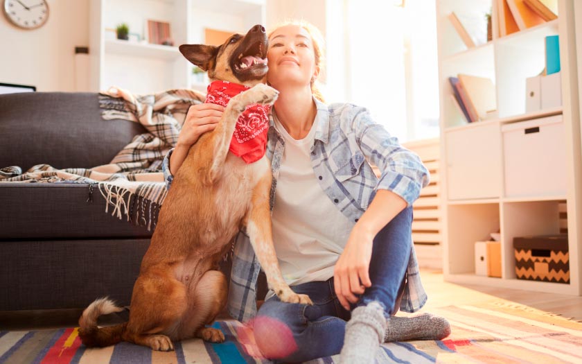 mujer con un perro grande que usa una bandana para perros roja como ropa para perros