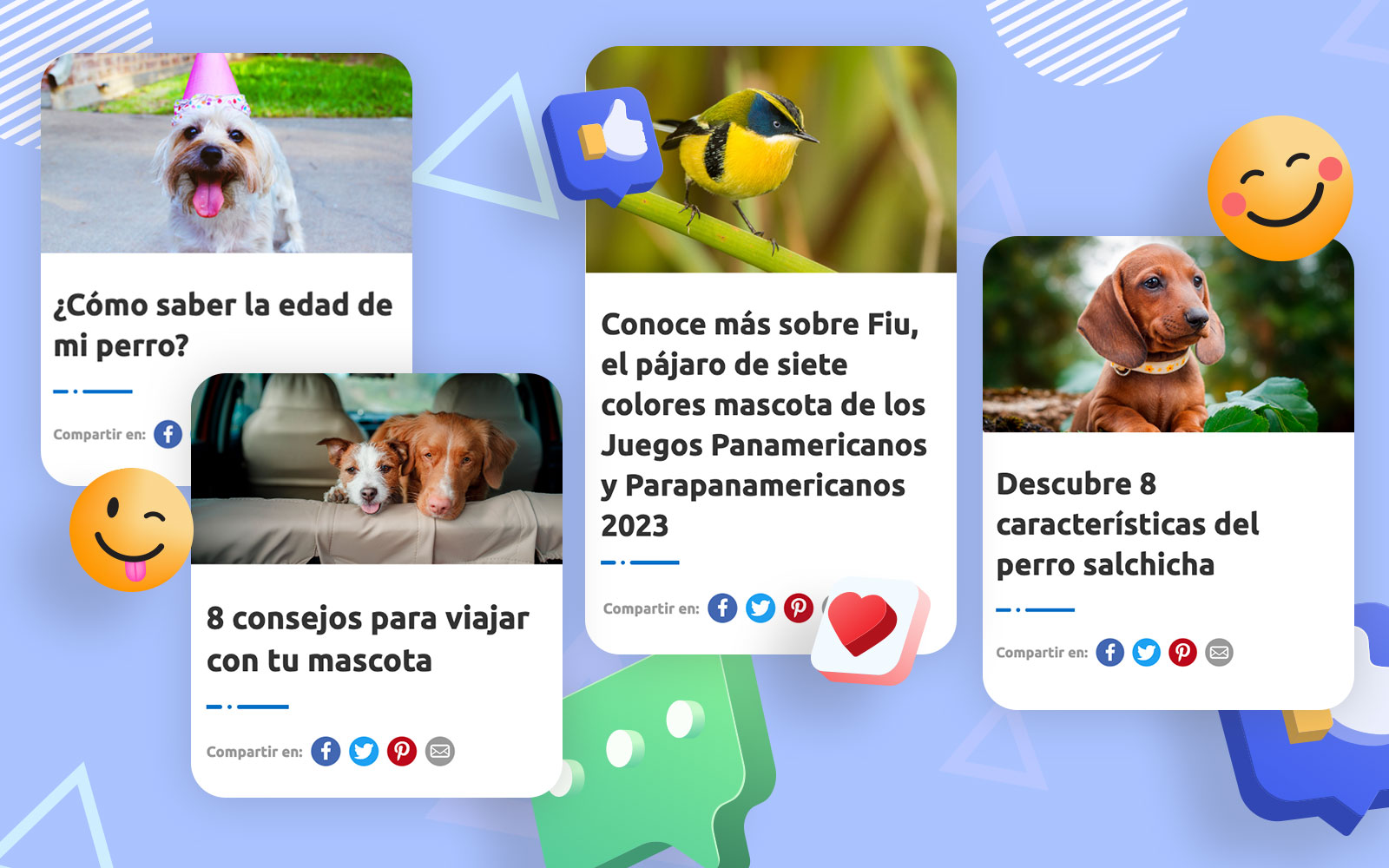 ¡Conoce lo más visto de Fanáticos de las Mascotas en 2023!