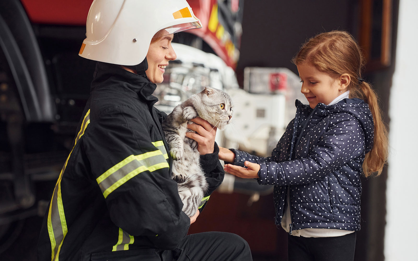 Prevención de incendios forestales: Consejos del Colmevet para cuidar a tus mascotas