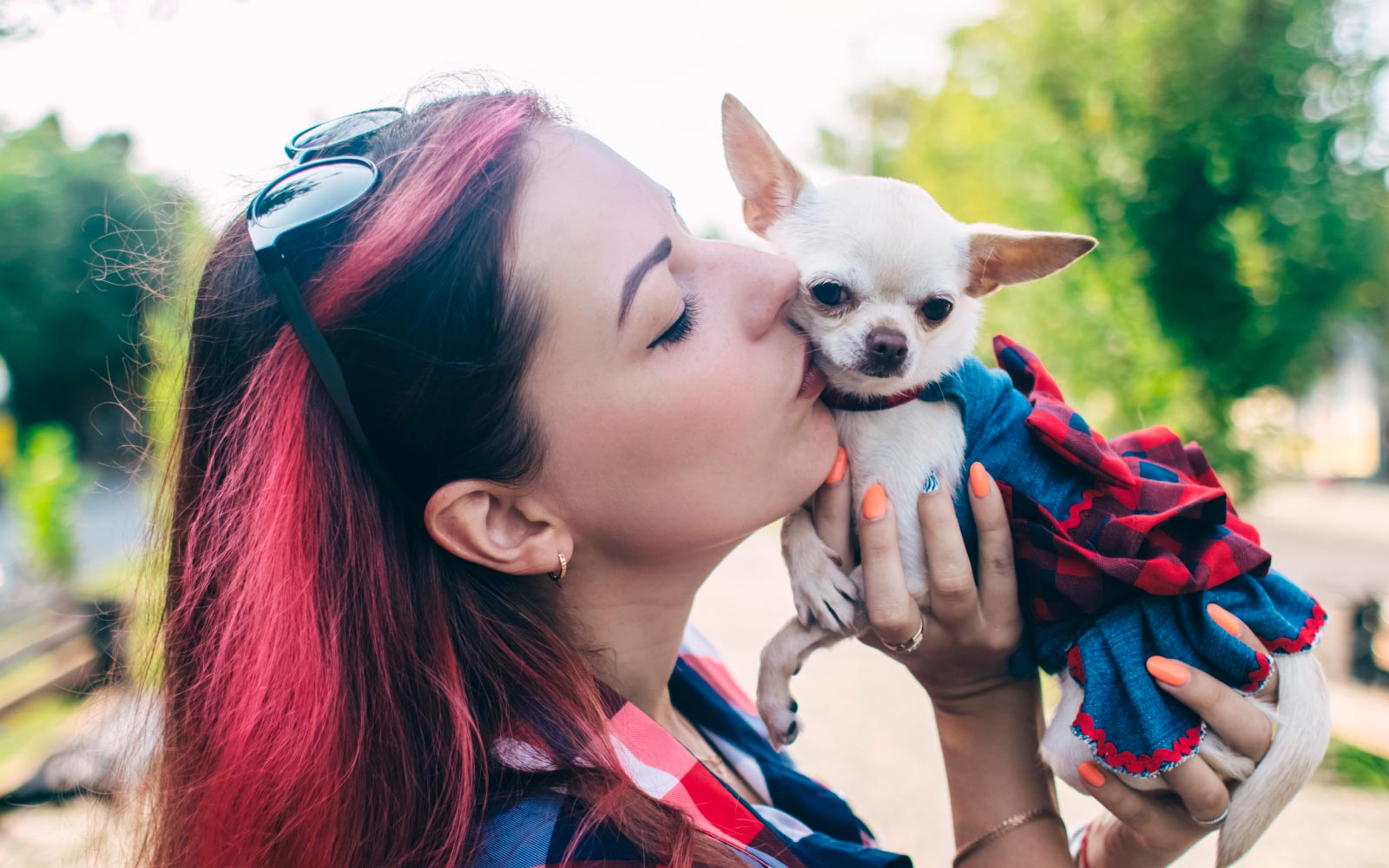 Todo lo que necesitas saber sobre el Día de Vestir a tus Mascotas