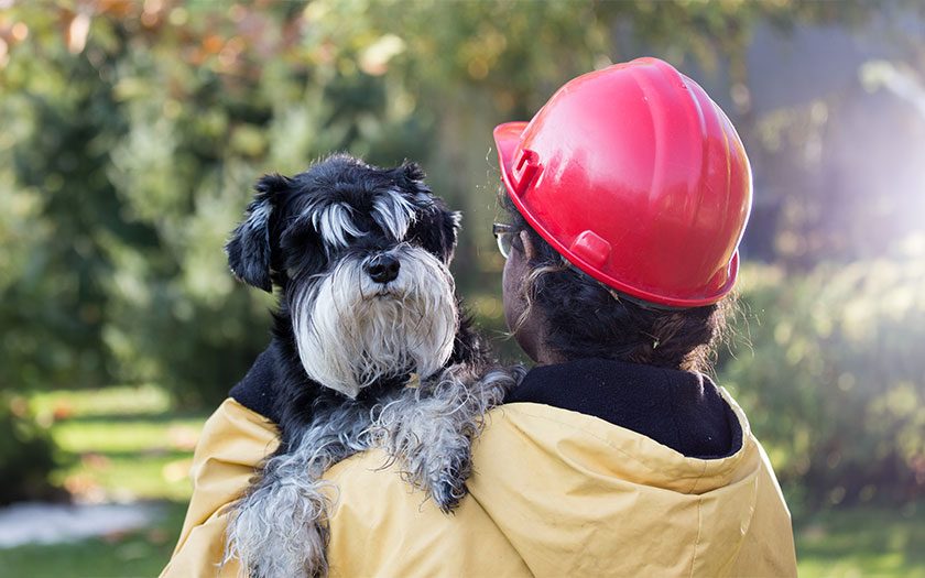Persona con casco rojo y chaqueta protectora amarilla sostiene a un perro en brazos