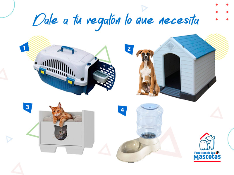 caja transportadora para mascota, casa para perro, cama para gato y bebedero para mascotas para cuidar a perros y gatos