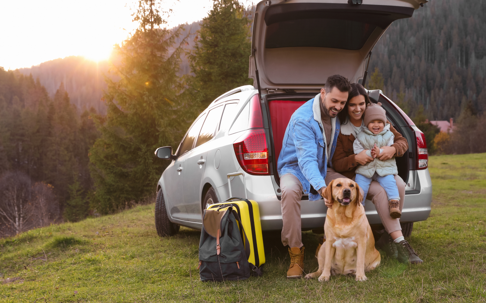 Transporte de mascotas: consejos prácticos para viajar en auto con tu perro