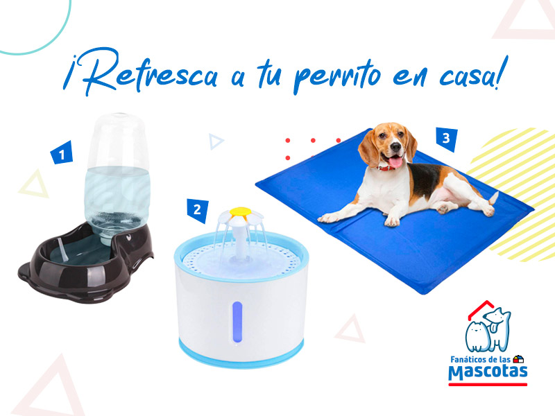 Bebedero por gravedad para perro, fuente de agua para mascotas y un perro sobre una manta fría para combatir las olas de calor del verano