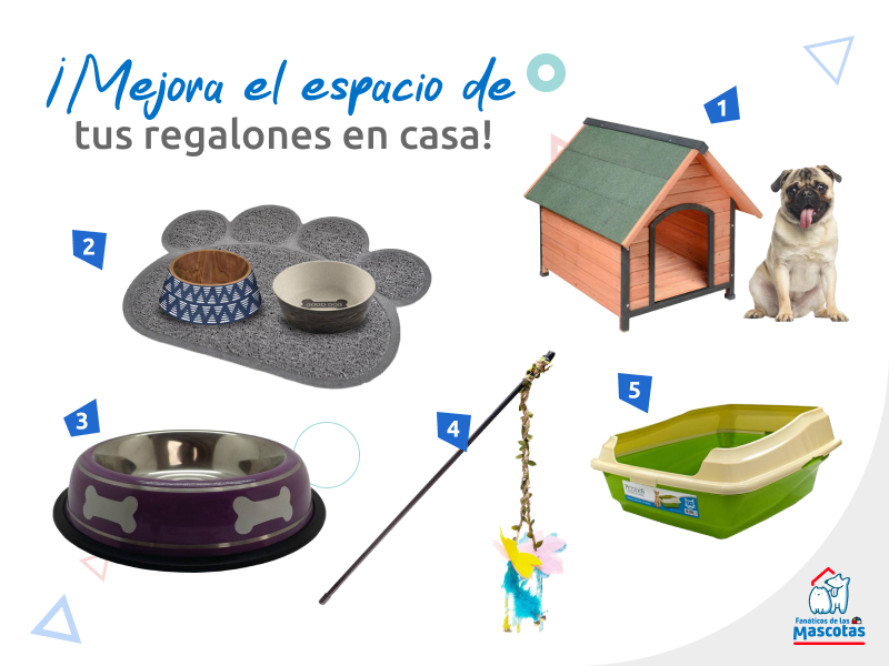 comedero para perros, tapete para mascota con comedero y bebedero para mascotas, casa para perros con un perro, caña juguete para gatos y bandeja sanitaria para gatos, productos para adaptar un espacio para perros y gatos en casa