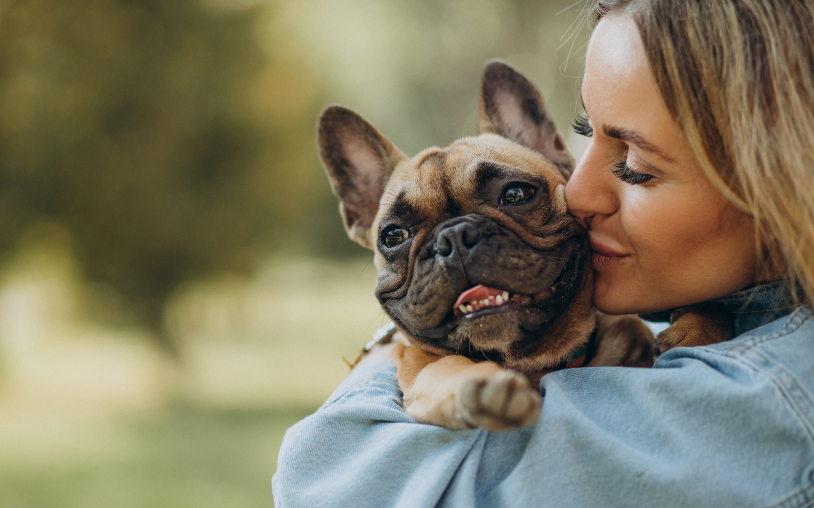 Conoce 4 curiosidades de los perros bulldog francés