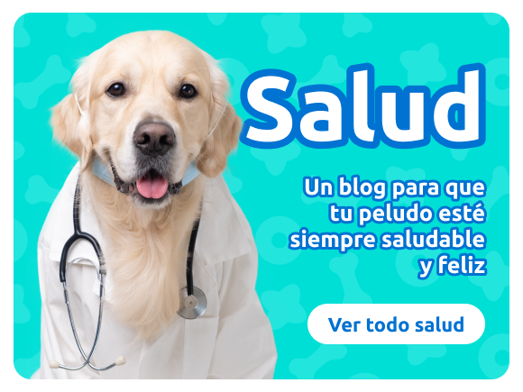 Consejos de salud y veterinaria para mascotas