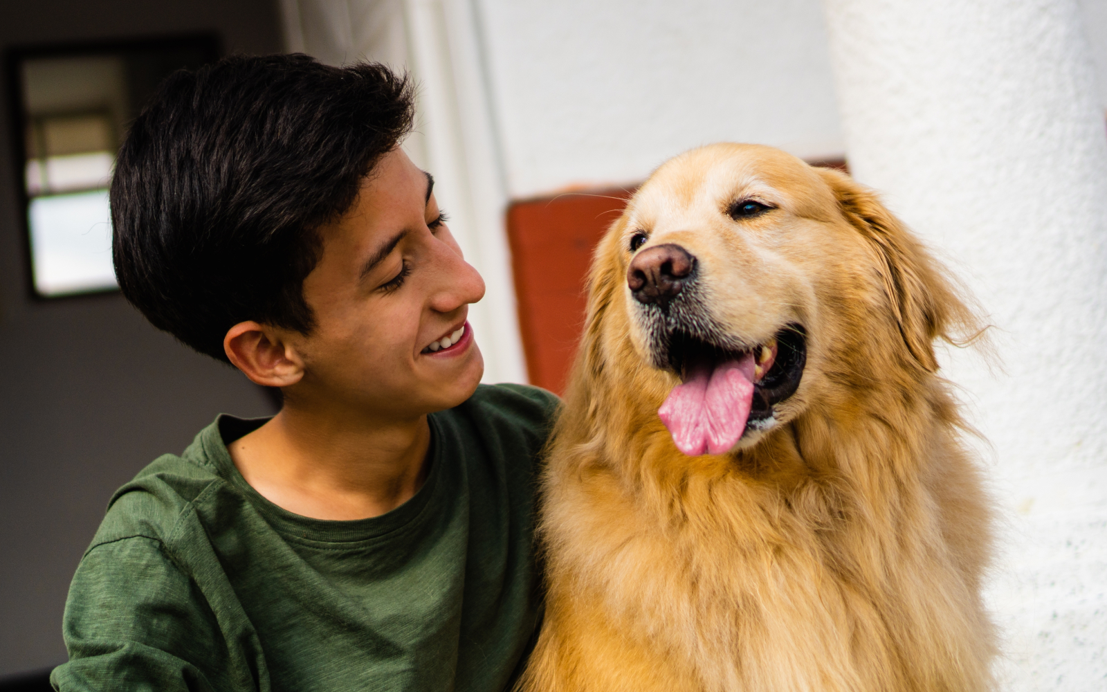 Aprende sobre los perros de asistencia y su importante labor