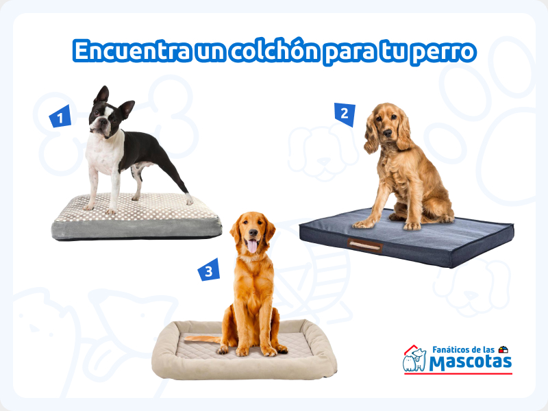 colchones para perros