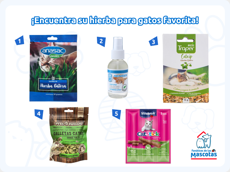 semillas de hierba gatera, catnip en spray, catnip seco y molido, galletas de catnip para gatos y snack para gatos de catnip