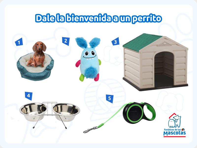 una cama para perro, un juguete para perro, una casa para perro, un comedero inoxidable para mascotas y una correa retráctil para perro