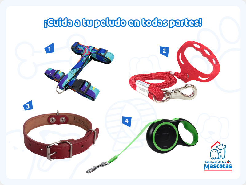 arnés para perro, correa para perro, collar para mascota y una correa retráctil para practicar la tenencia responsable de mascotas en los lugares públicos.