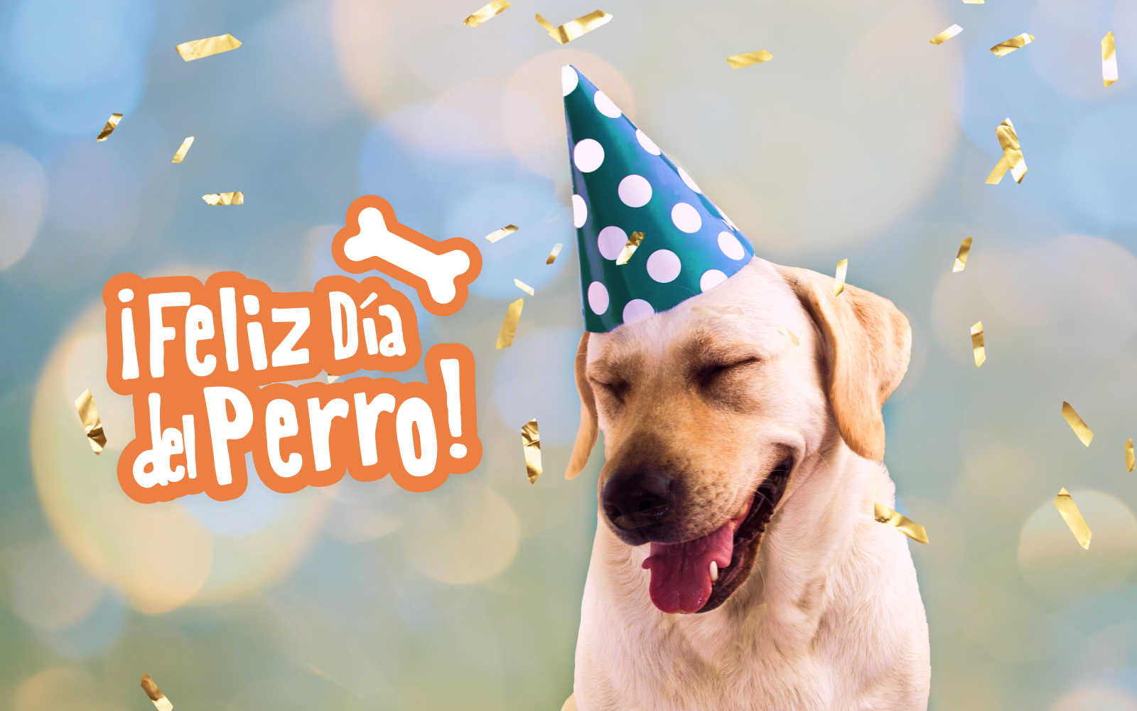 ¡Regalonea a tu perrito! 5 ideas para celebrar el Día Mundial del Perro