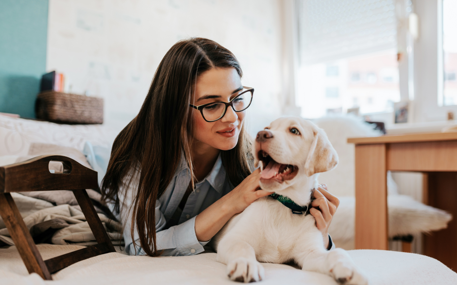 Adopción de perros: 5 esenciales para recibir a tu nuevo cachorro