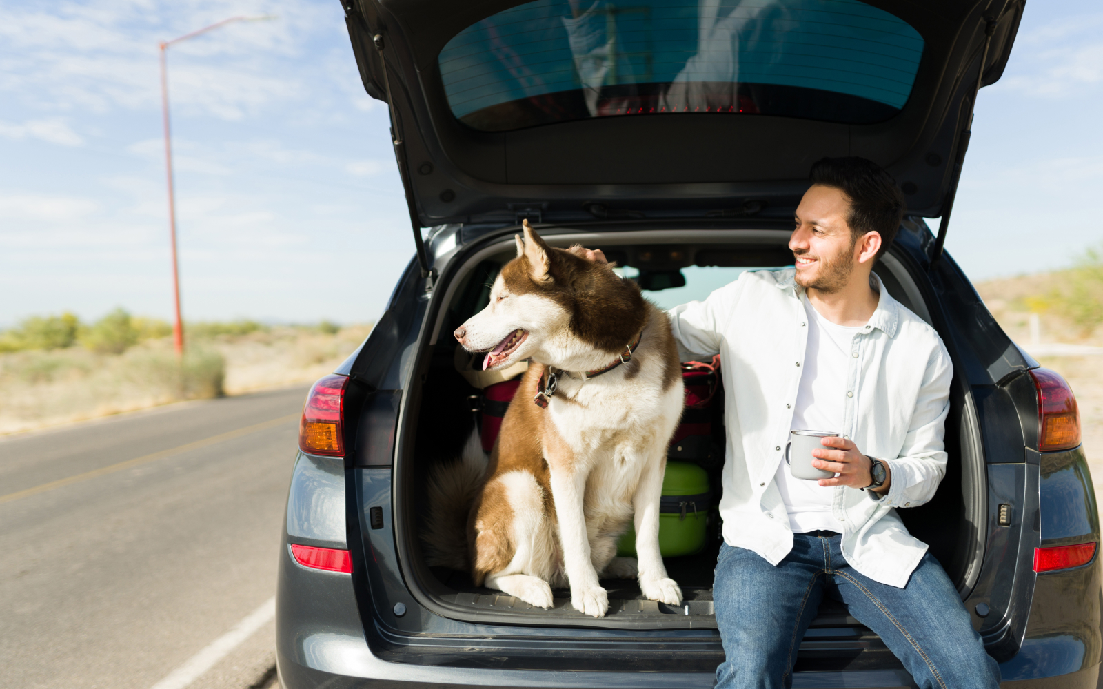 ¿Qué no puede faltar en un kit para viajar con mascotas?