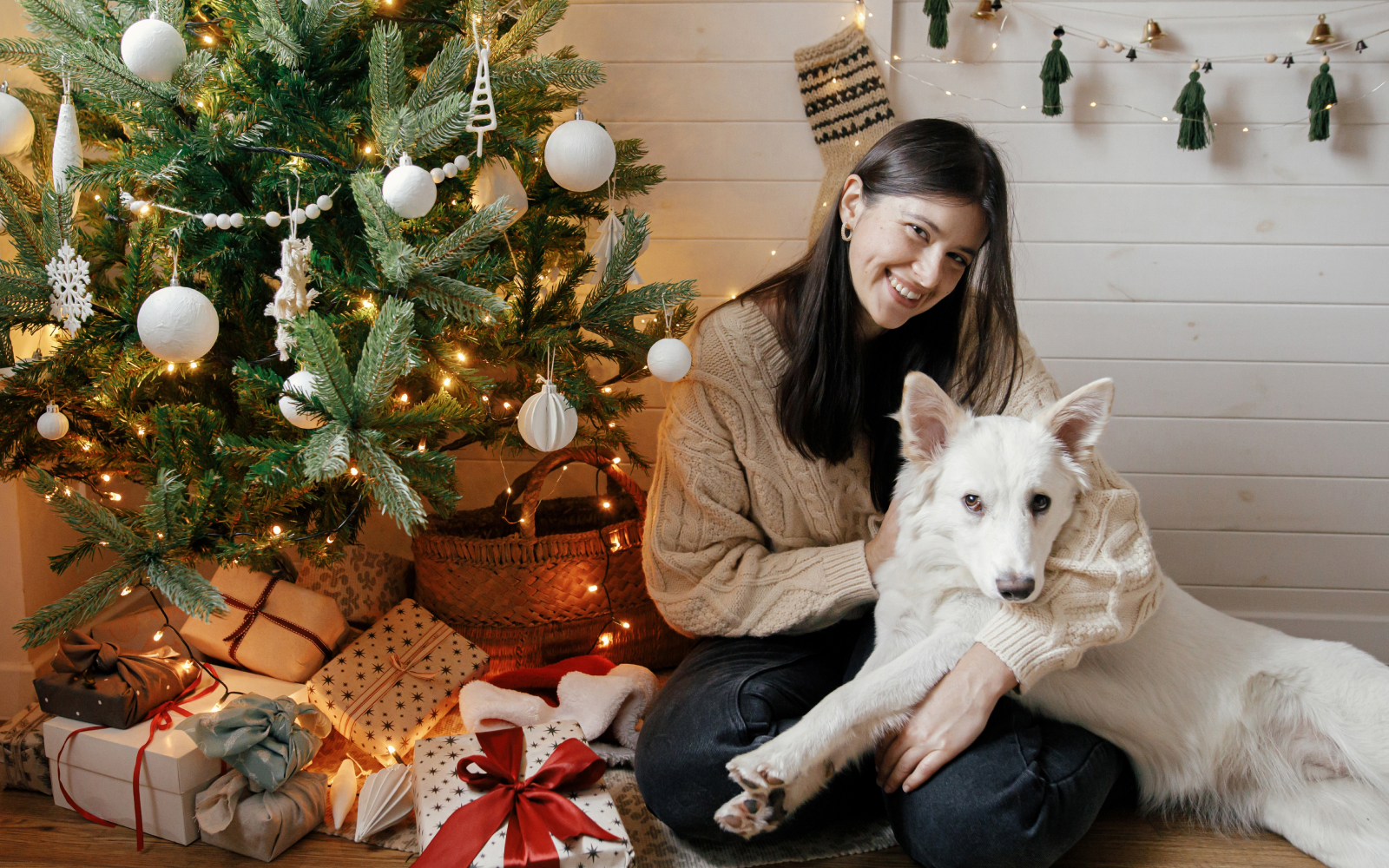 Consejos para cuidar a tu mascota en Navidad y Año Nuevo
